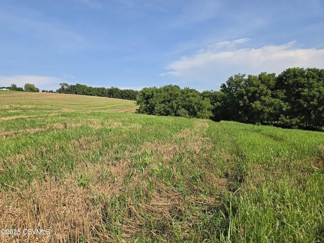 Mowery Rd, Danville, PA 17821 - photo 12