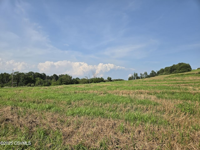 Mowery Rd, Danville, PA 17821 - photo 15