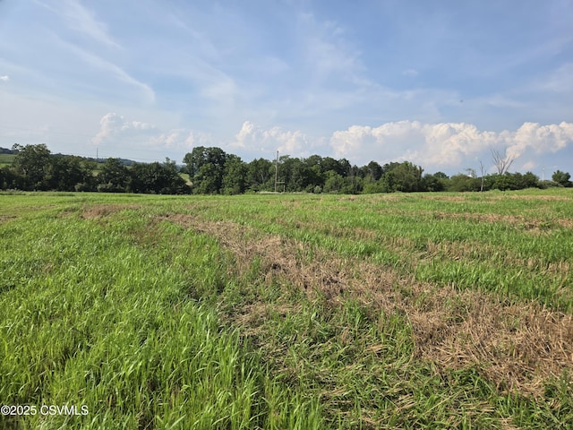 Mowery Rd, Danville, PA 17821 - photo 16