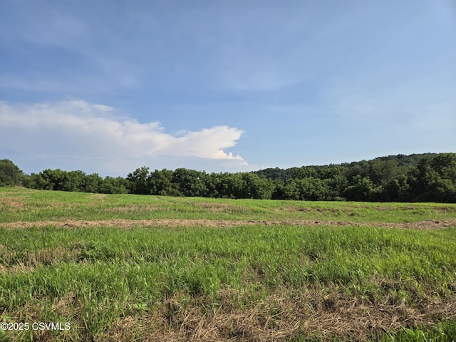 Mowery Rd, Danville, PA 17821 - photo 1