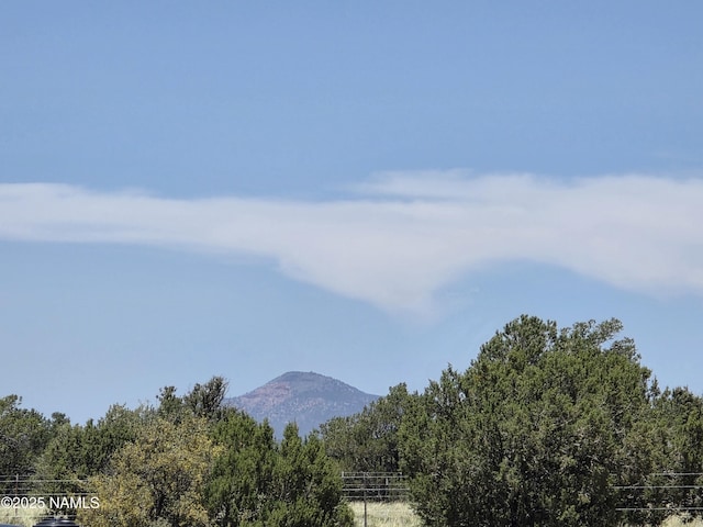 3164 S Spruce Rd, Williams, AZ 86046