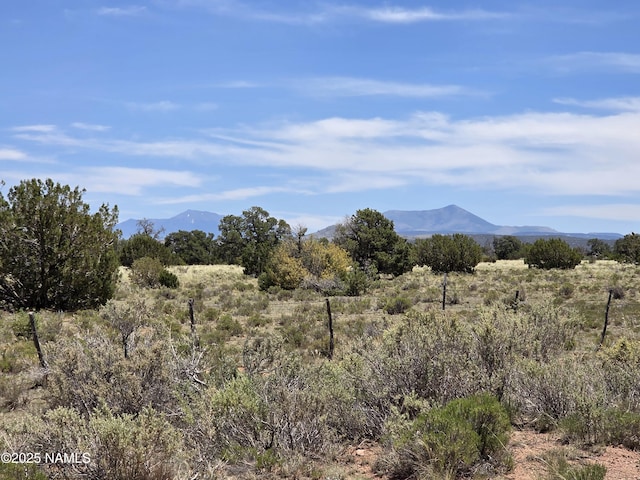 3164 S Spruce Rd, Williams, AZ 86046