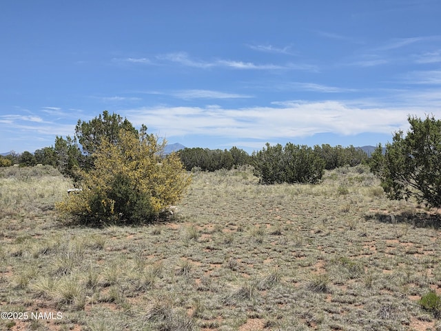 3164 S Spruce Rd, Williams, AZ 86046