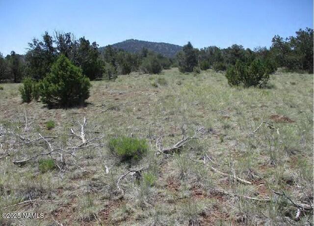 0 Espee Rd, Williams, AZ 86046 - photo 12