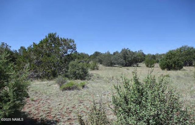 0 Espee Rd, Williams, AZ 86046 - photo 11