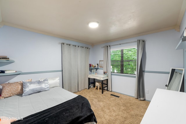 1815 Hornet Way, Flagstaff, AZ 86004 - photo 23