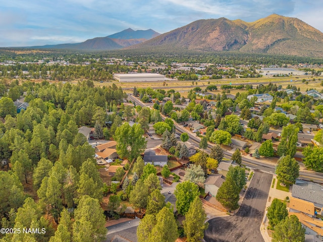 1815 Hornet Way, Flagstaff, AZ 86004 - photo 34