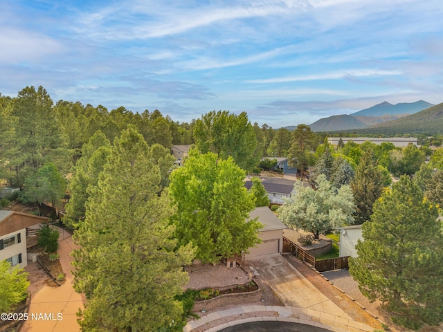 1815 Hornet Way, Flagstaff, AZ 86004 - photo 32