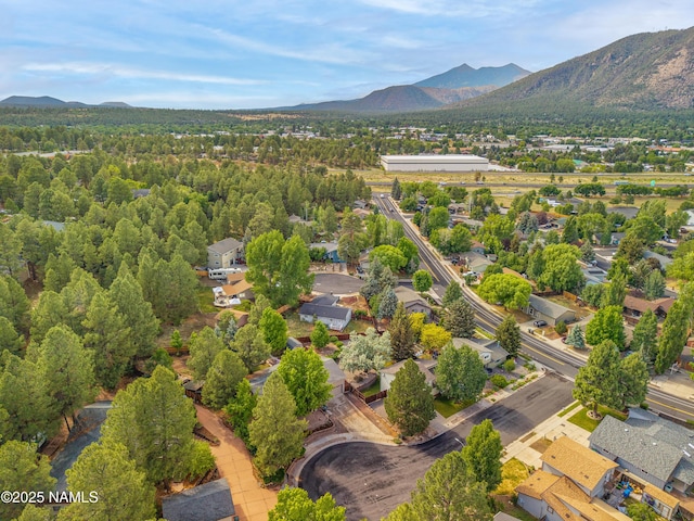 1815 Hornet Way, Flagstaff, AZ 86004 - photo 33