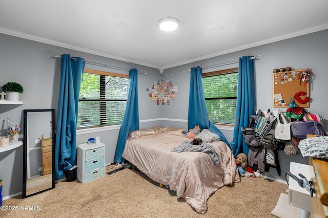 1815 Hornet Way, Flagstaff, AZ 86004 - photo 24