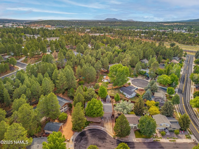 1815 Hornet Way, Flagstaff, AZ 86004 - photo 35
