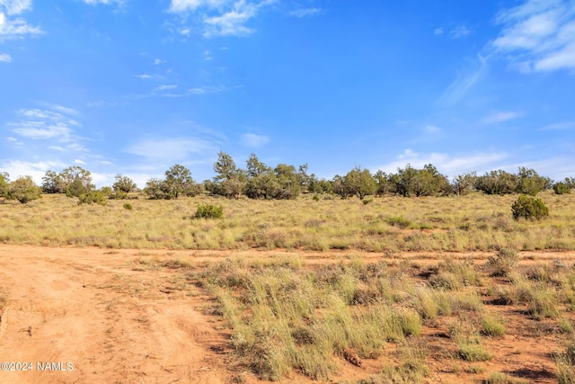1770 Silver Bear Ln Unit B, Williams, AZ 86046 - photo 5