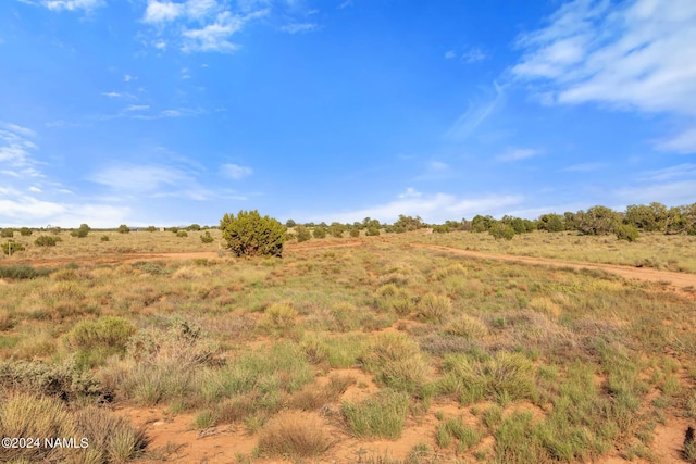 1770 Silver Bear Ln Unit B, Williams, AZ 86046 - photo 7