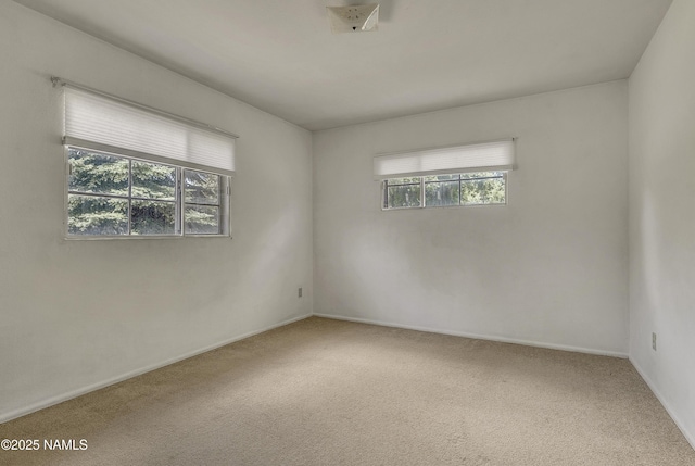 1902 N Lynn Dr, Flagstaff, AZ 86001 - photo 12
