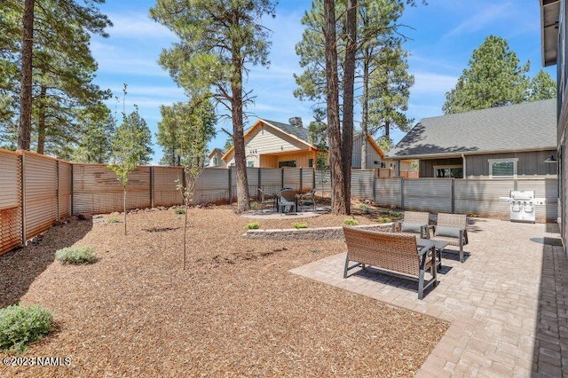 view of yard with a patio area