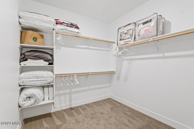 walk in closet with carpet flooring