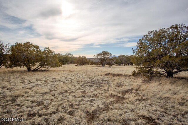 13165 Cloud Way, Flagstaff, AZ 86004