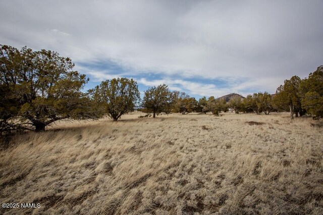13165 Cloud Way, Flagstaff, AZ 86004
