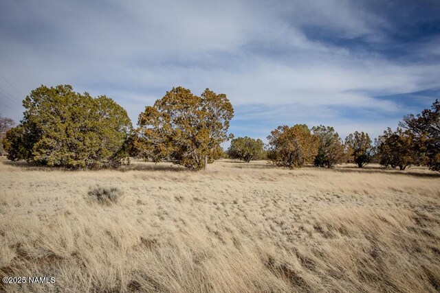 13165 Cloud Way, Flagstaff, AZ 86004