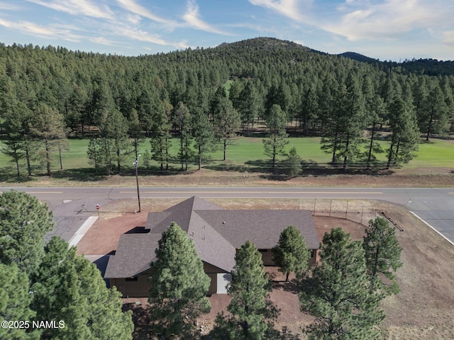 11 Anthem Dr, Williams, AZ 86046 - photo 53
