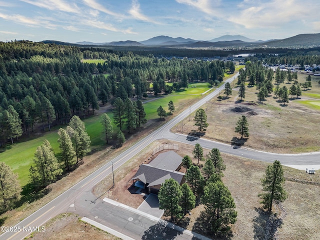 11 Anthem Dr, Williams, AZ 86046 - photo 51