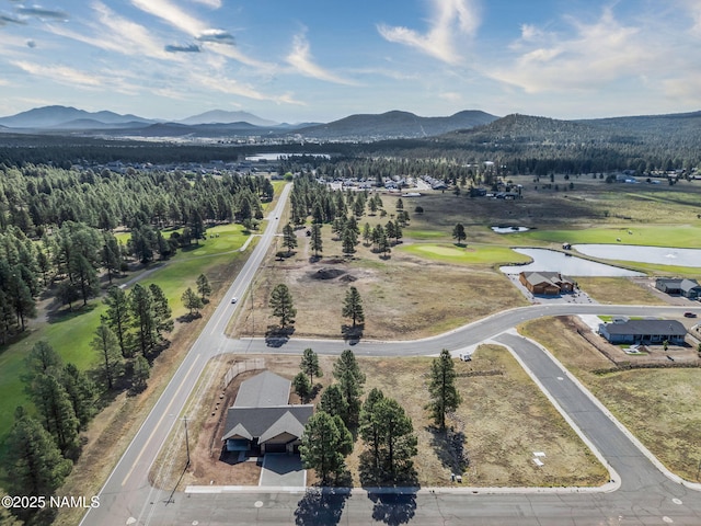 11 Anthem Dr, Williams, AZ 86046 - photo 50