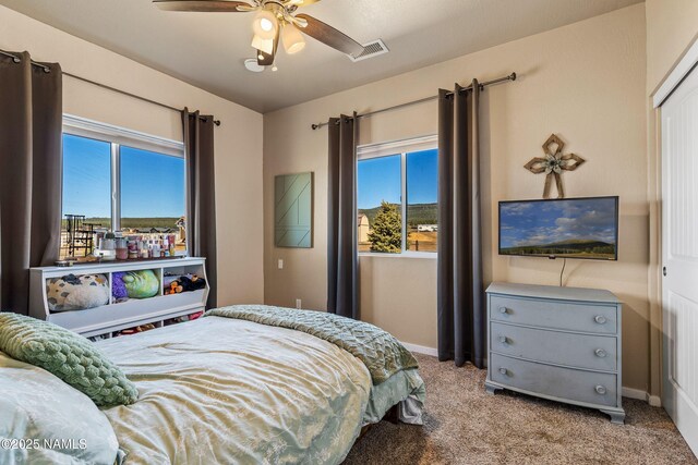 6888 Blue Mountain Trl, Flagstaff, AZ 86001 - photo 17