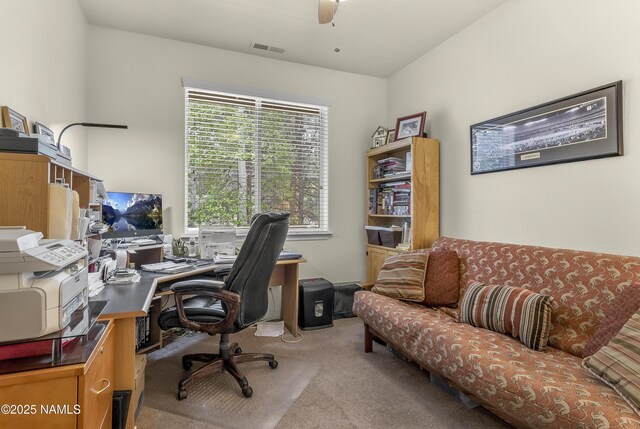 5256 S Azurite Trl, Flagstaff, AZ 86005 - photo 22