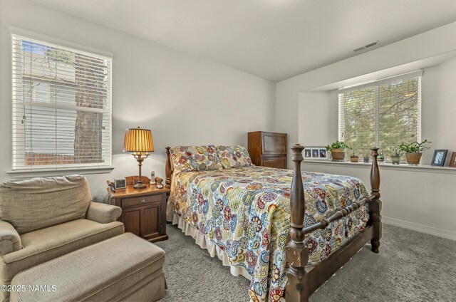 5256 S Azurite Trl, Flagstaff, AZ 86005 - photo 13