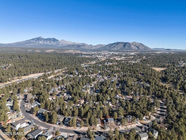 drone / aerial view featuring a mountain view