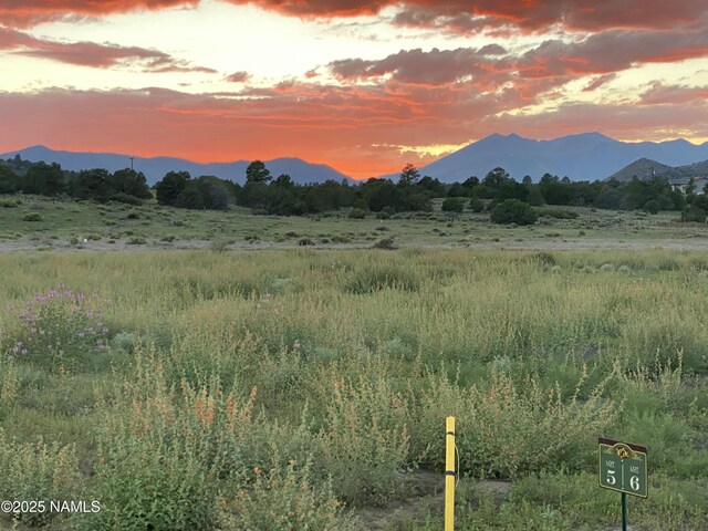 6672 Meadows Ln # 1, Flagstaff, AZ 86004 - photo 11