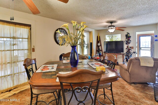 carpeted dining area with ceiling fan and a textured ceiling