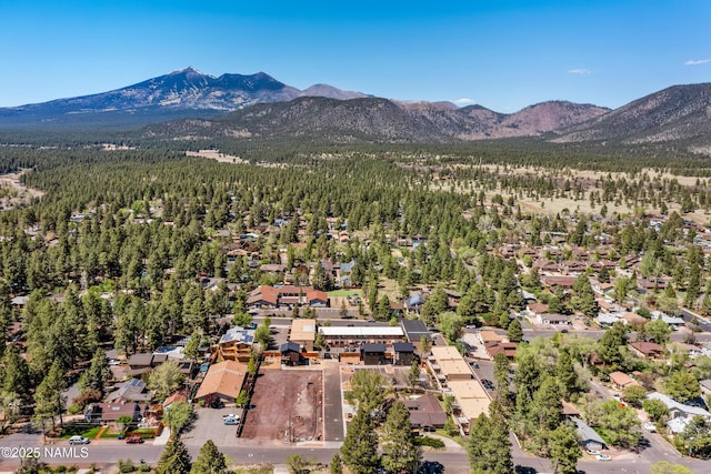302 W Oak Ave Unit 10, Flagstaff, AZ 86001 - photo 31