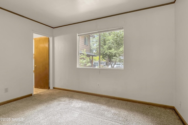 3494 N Andes Dr, Flagstaff, AZ 86004 - spare room with ornamental molding, light colored carpet, and baseboards