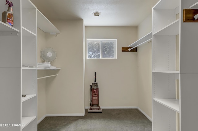 3494 N Andes Dr, Flagstaff, AZ 86004 - walk in closet with carpet flooring