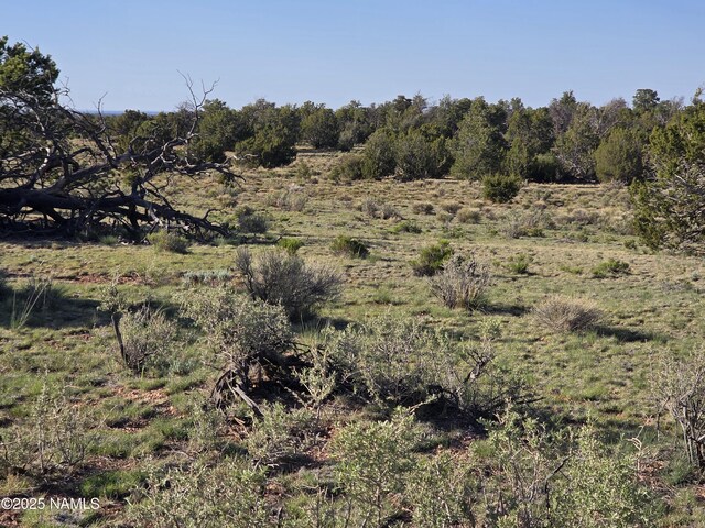 9087 Hawkeye Cir, Williams, AZ 86046
