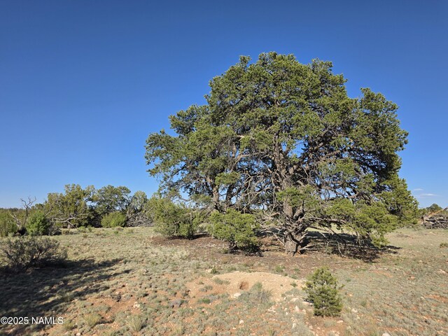 9087 Hawkeye Cir, Williams, AZ 86046