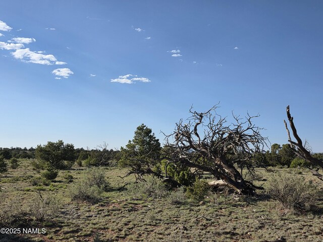 9087 Hawkeye Cir, Williams, AZ 86046