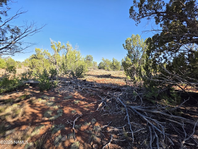 9087 Hawkeye Cir, Williams, AZ 86046