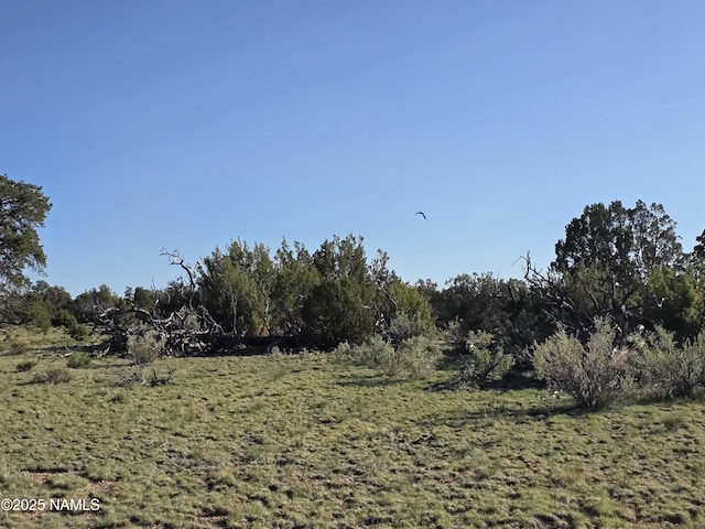 9087 Hawkeye Cir, Williams, AZ 86046
