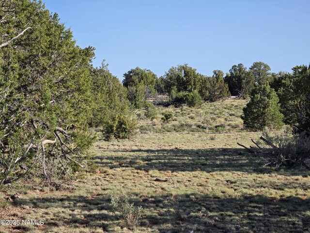 9087 Hawkeye Cir, Williams, AZ 86046