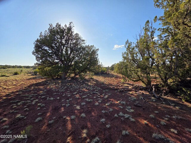 9087 Hawkeye Cir, Williams, AZ 86046