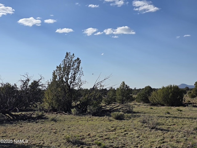 9087 Hawkeye Cir, Williams, AZ 86046