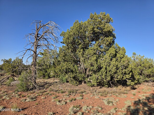 9087 Hawkeye Cir, Williams, AZ 86046