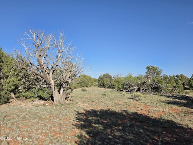 9087 Hawkeye Cir, Williams, AZ 86046