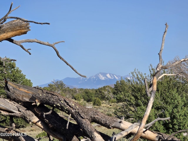 9087 Hawkeye Cir, Williams, AZ 86046