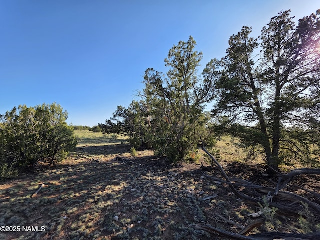 9087 Hawkeye Cir, Williams, AZ 86046