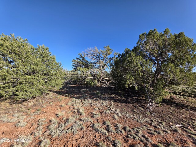 9087 Hawkeye Cir, Williams, AZ 86046