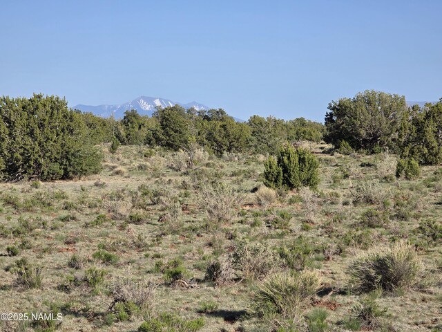 9087 Hawkeye Cir, Williams, AZ 86046
