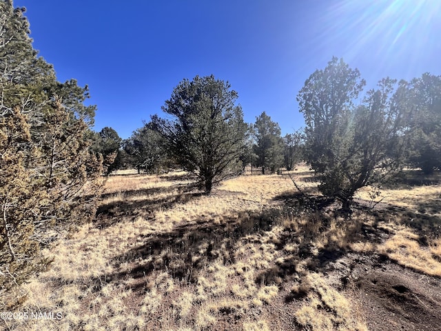 7277 Daisy Dr, Williams, AZ 86046